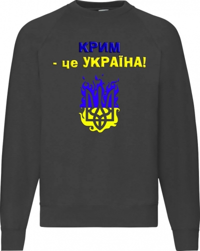 Світшоти чоловічі чорні